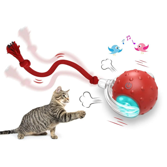 Interactive Super Drive Pet Rolling Balls With Bird Chirping Motion Activated Sensor